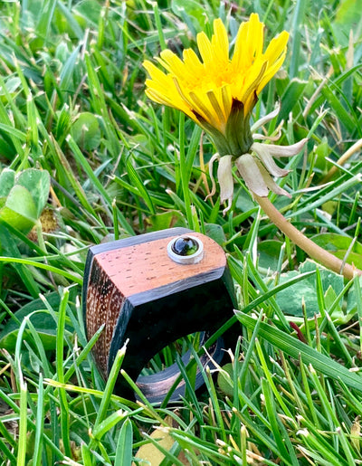 Primavera