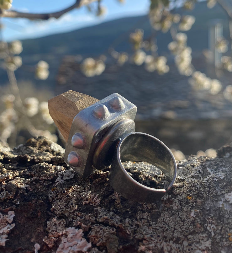 OMG!!! Conceptual ring
