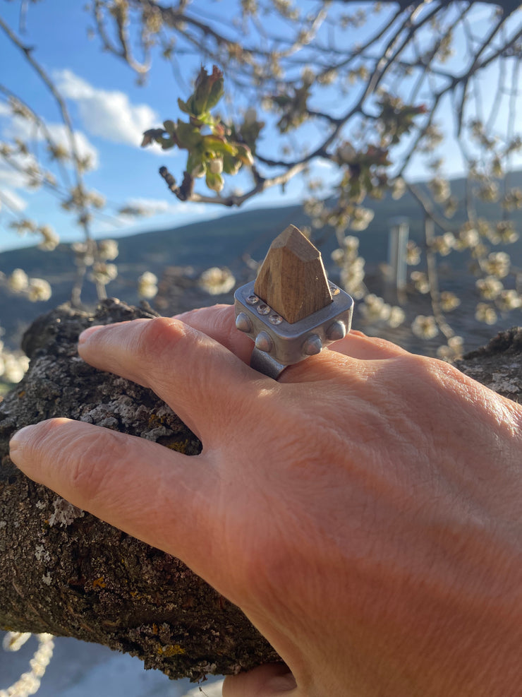 OMG!!! Conceptual ring