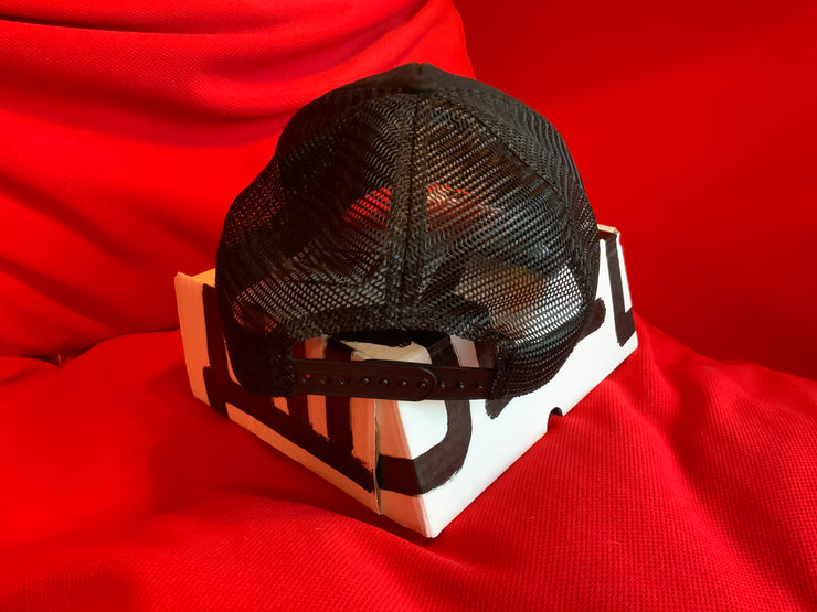 Gorra Destroyed Plata